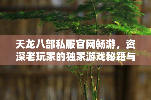 资深老玩家的独家游戏秘籍与热血历程天龙私服图片