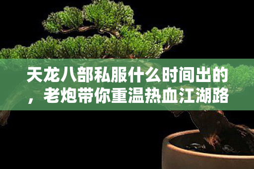 老炮带你重温热血江湖路天龙私服图片