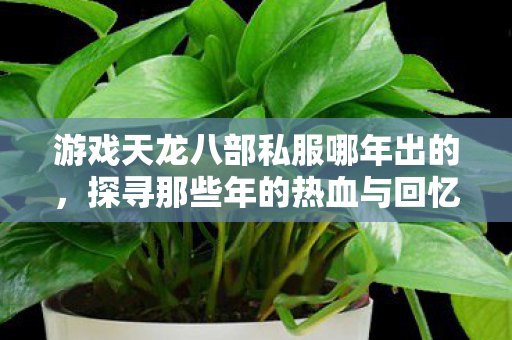 探寻那些年的热血与回忆天龙私服图片