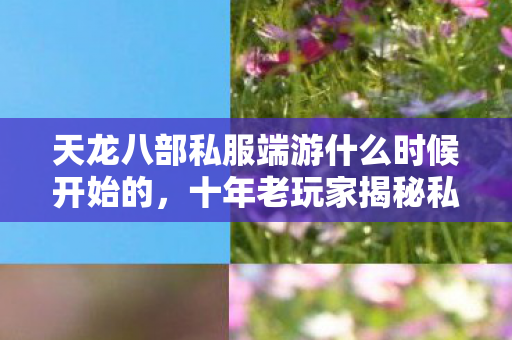 十年老玩家揭秘私服圈最新动态与避坑指南天龙八部私服图片