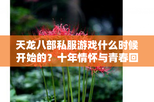 十年情怀与青春回忆的实测认证揭秘图片