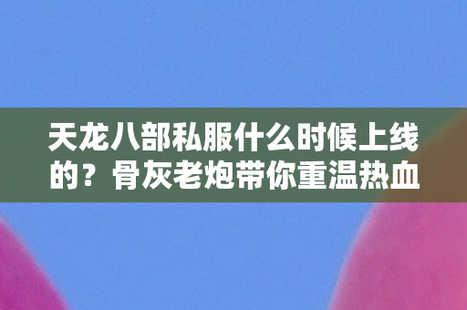 天龙八部私服什么时候上线的图片