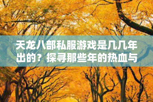 探寻那些年的热血与回忆天龙私服图片