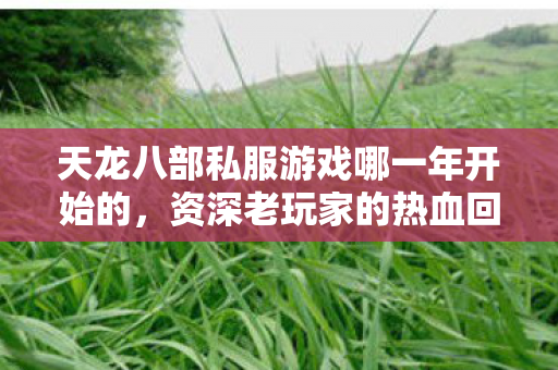 资深老玩家的热血回忆与实战秘籍天龙八部私服图片