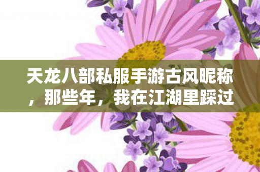 我在江湖里踩过的坑与摸出的招天龙私服图片