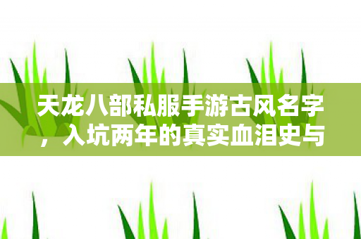 入坑两年的真实血泪史与野路子大分享天龙八部私服图片