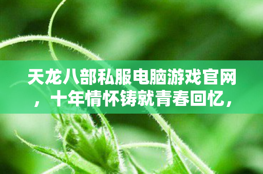 天龙八部私服电脑游戏官网图片
