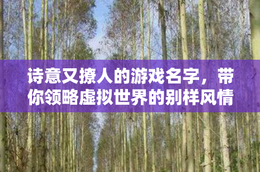 带你领略虚拟世界的别样风情天龙八部私服图片