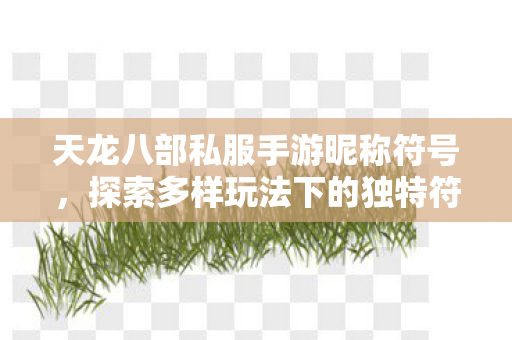 探索多样玩法下的独特符号世界天龙八部私服图片