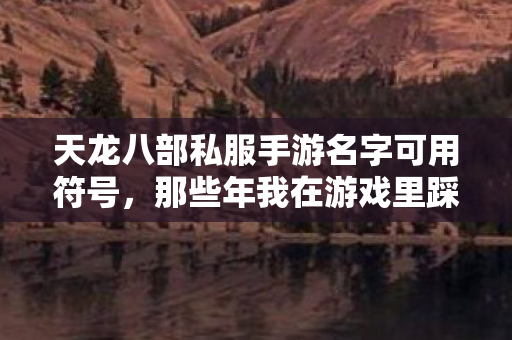 那些年我在游戏里踩过的坑与摸出的野路子天龙私服图片