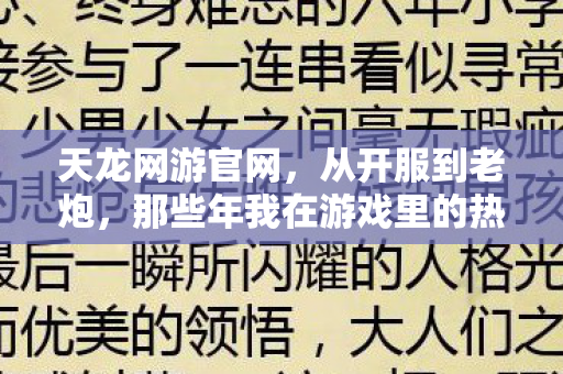 那些年我在游戏里的热血与糗事天龙八部私服图片