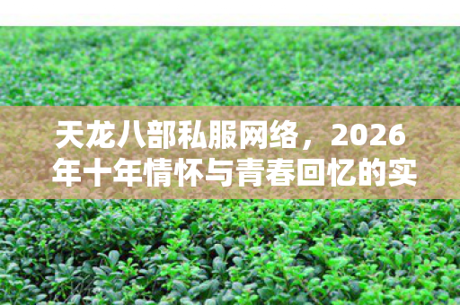 天龙八部私服网络,2026 年十年情怀与青春回忆的实测认证避坑指南!天龙八部私服 天龙八部私服网络,2026 年十年情怀与青春回忆的实测认证避坑指南!天龙八部私服