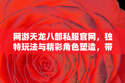 带你领略别样江湖天龙八部私服图片
