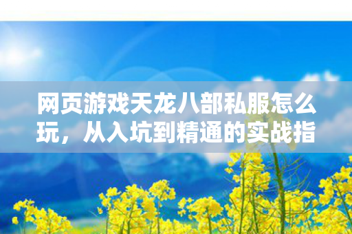 从入坑到精通的实战指南天龙私服图片