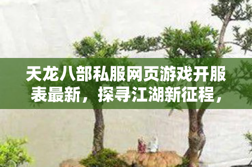 天龙八部私服网页游戏开服表最新图片