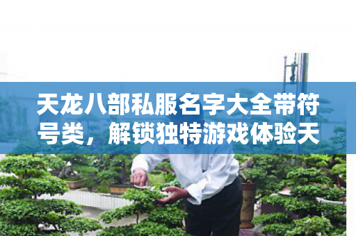 天龙八部私服名字大全带符号类图片