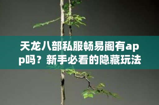天龙八部私服畅易阁有app吗图片