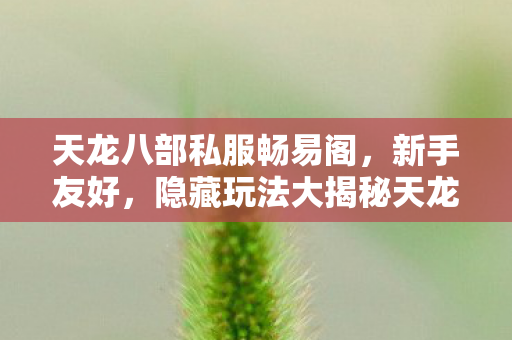 隐藏玩法大揭秘天龙私服图片