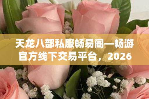 2026年热度榜Top5高人气服实测图片