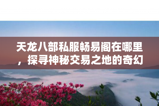 探寻神秘交易之地的奇幻之旅天龙八部私服图片