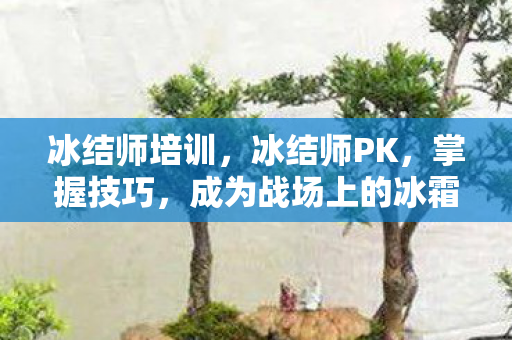 冰结师培训，冰结师PK，掌握技巧，成为战场上的冰霜主宰
