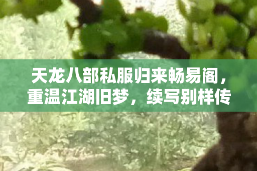 续写别样传奇天龙八部私服图片