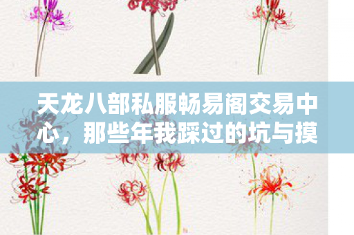 那些年我踩过的坑与摸出的野路子天龙私服图片