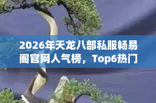 2026年天龙八部私服畅易阁官网人气榜图片