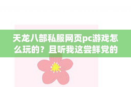 天龙八部私服网页pc游戏怎么玩的图片