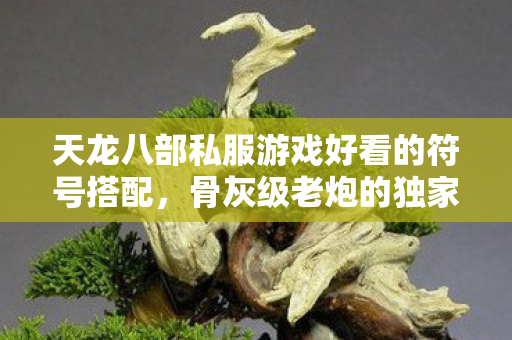 骨灰级老炮的独家秘籍与热血回忆天龙私服图片