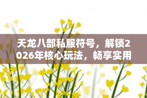 畅享实用指南与痛点解决方案天龙私服图片