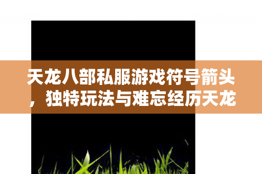 独特玩法与难忘经历天龙八部私服图片