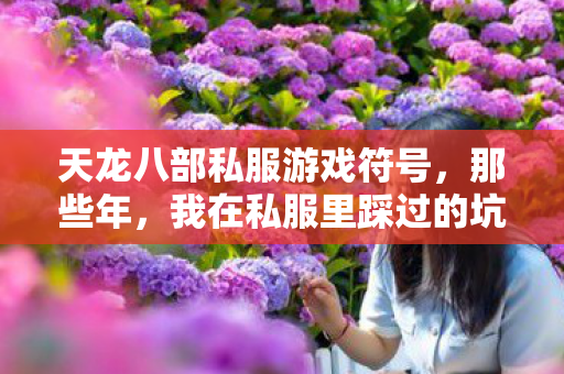 我在私服里踩过的坑与摸出的野路子天龙私服图片