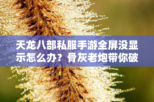 天龙八部私服手游全屏没显示怎么办图片