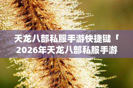 2026年天龙八部私服手游快捷键热度榜图片