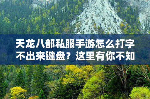 天龙八部私服手游怎么打字不出来键盘图片