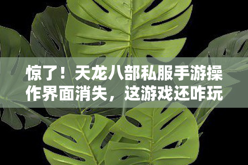 天龙八部私服手游操作界面消失图片