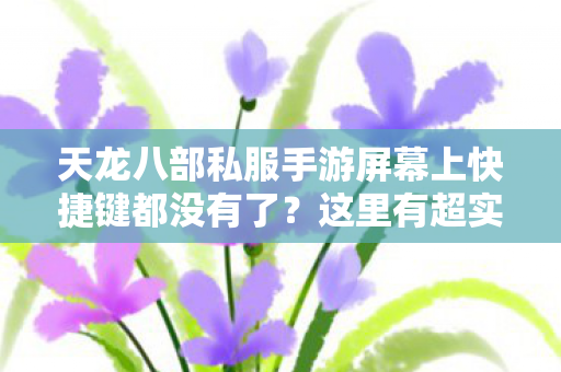 天龙八部私服手游屏幕上快捷键都没有了图片