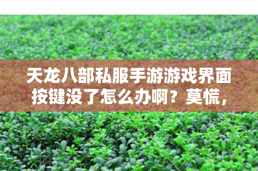 天龙八部私服手游游戏界面按键没了怎么办啊图片
