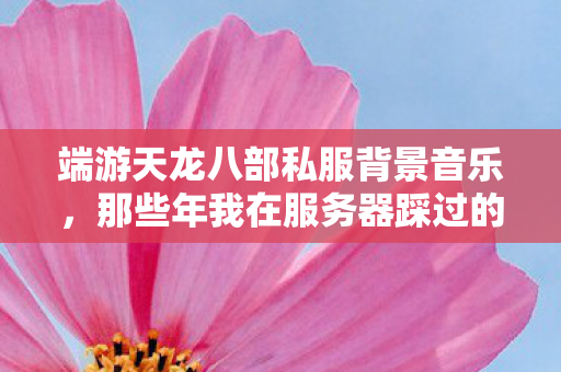 那些年我在服务器踩过的坑与摸出的野路子天龙私服图片