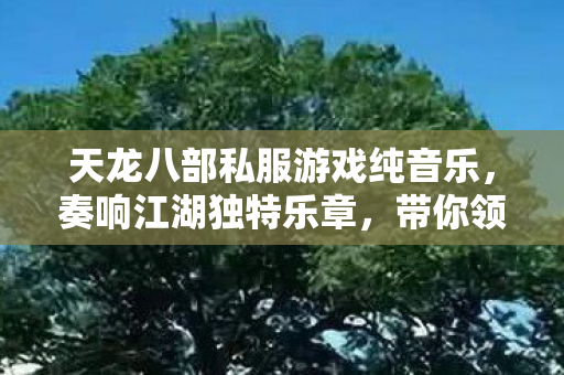 带你领略别样武侠风情天龙私服图片
