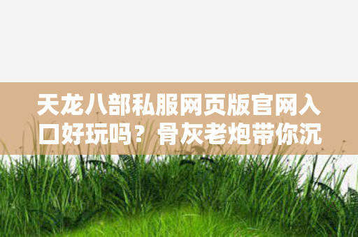天龙八部私服网页版官网入口好玩吗图片