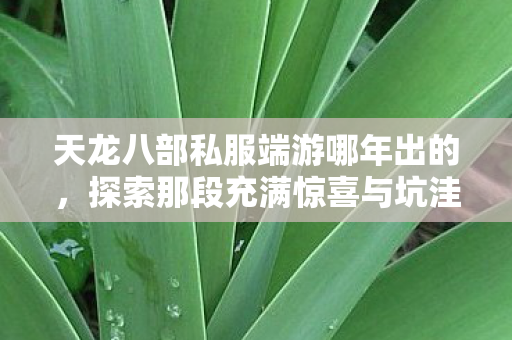 探索那段充满惊喜与坑洼的江湖之旅天龙私服图片