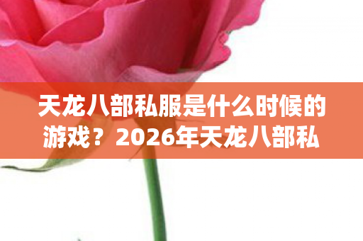 2026年天龙八部私服热度榜Top5实测图片