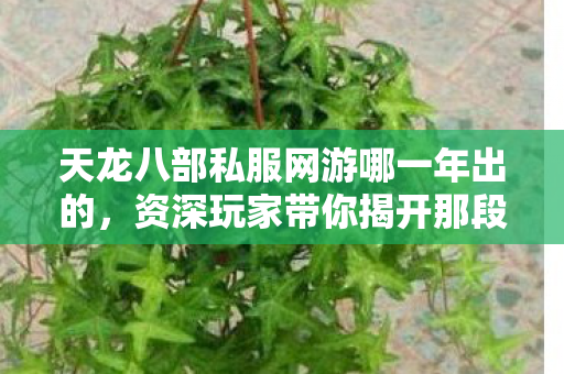 资深玩家带你揭开那段热血岁月天龙私服图片