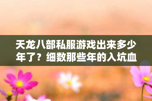 细数那些年的入坑血泪史天龙八部私服图片
