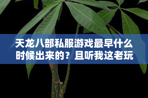 天龙八部私服游戏最早什么时候出来的图片