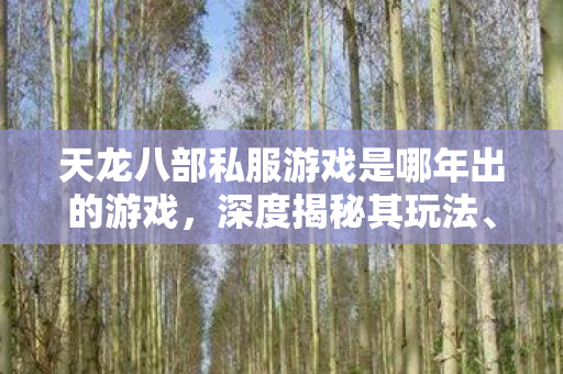 天龙八部私服游戏是哪年出的游戏图片