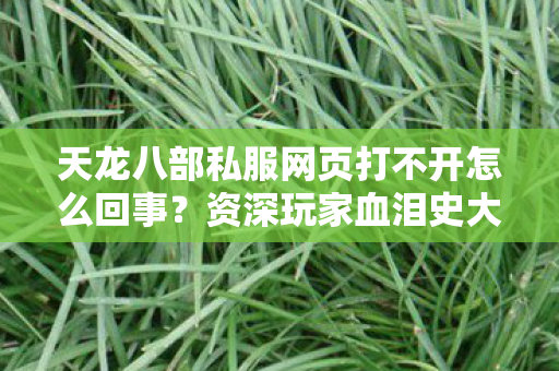 天龙八部私服网页打不开怎么回事图片
