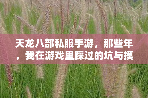 我在游戏里踩过的坑与摸出的野路子天龙八部私服图片